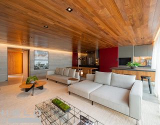 10999DecoradoPlat190m21