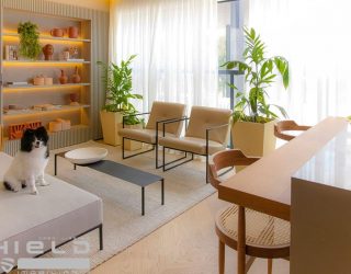 11008petdecorado140311