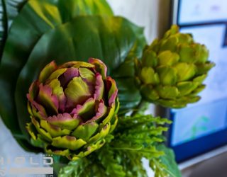 Foto 06-09-2018 13 23 46